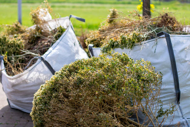 Best Electronics and E-Waste Disposal  in Gallup, NM